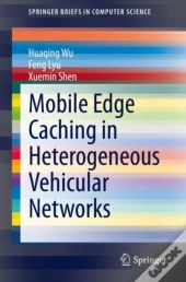 Mobile Edge Caching In Heterogeneous Vehicular Networks