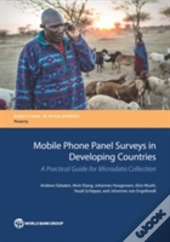 Mobile Phone Panel Surveys In Developing Countries