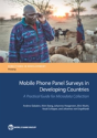 Mobile Phone Panel Surveys In Developing Countries - Preview