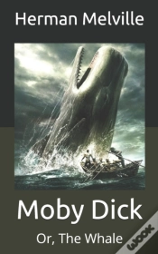 Capa do artigo Moby Dick