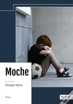 Capa do artigo Moche