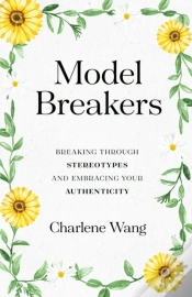 Capa do artigo Model Breakers