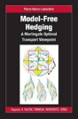 Model-Free Hedging - Preview