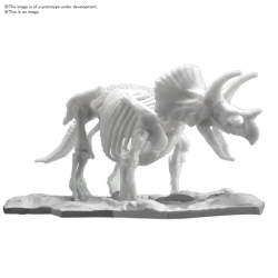 Capa do artigo Model Kit Dinosaur Limex Skeleton Triceratops