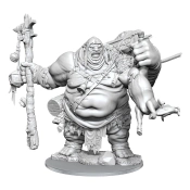 Capa do artigo Model Kit Dungeons & Dragons Frameworks Hill Giant