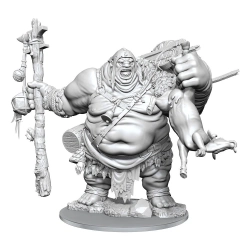Capa do artigo Model Kit Dungeons & Dragons Frameworks Hill Giant
