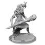 Model Kit Dungeons & Dragons Frameworks Stone Giant - Preview