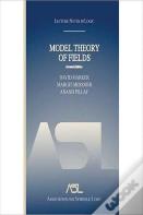 Model Theory Of Fields
