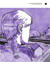 Modele Reduit