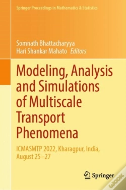 Capa do artigo Modeling, Analysis And Simulations Of Multiscale Transport Phenomena