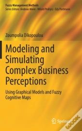 Modeling And Simulating Complex Business Perceptions