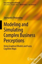 Modeling And Simulating Complex Business Perceptions