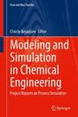 Modeling And Simulation In Chemical Engineering - Preview