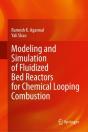 Modeling And Simulation Of Fluidized Bed Reactors For Chemical Looping Combustion - Preview