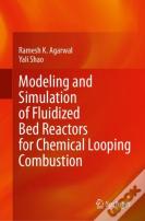 Modeling And Simulation Of Fluidized Bed Reactors For Chemical Looping Combustion