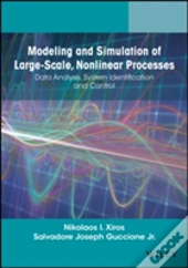 Modeling And Simulation Of Large-Scale, Nonlinear Processes