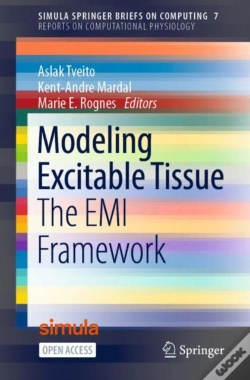Capa do artigo Modeling Excitable Tissue