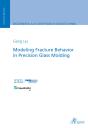 Modeling Fracture Behavior In Precision Glass Molding - Preview