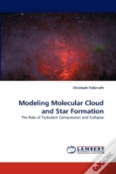 Modeling Molecular Cloud And Star Formation