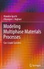 Modeling Multiphase Materials Processes - Preview