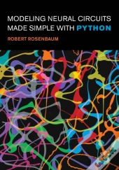 Modeling Neural Circuits Made Simple With Python
