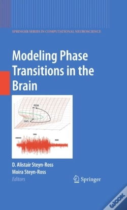 Capa do artigo Modeling Phase Transitions In The Brain
