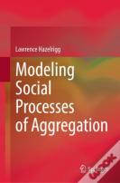 Modeling Social Processes Of Aggregation