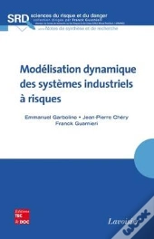 Modelisation Dynamique Des Systemes Industriels A Risques Collection Sciences Du Risque Et Du Danger