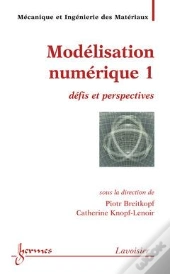 Modelisation Numerique 1 Defis Et Perspectives Traite Mim Serie Methodesnumeriques
