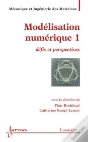 Capa do artigo Modelisation Numerique 1 Defis Et Perspectives Traite Mim Serie Methodesnumeriques