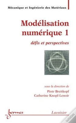 Capa do artigo Modelisation Numerique 1 Defis Et Perspectives Traite Mim Serie Methodesnumeriques