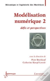 Capa do artigo Modelisation Numerique 2 Defis Et Perspectives Traite Mim Serie Methodesnumeriques