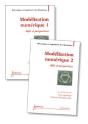 Modelisation Numerique Defis Et Perspectives Traite Mim Serie Methodesnumeriques - Preview