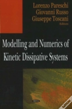 Capa do artigo Modelling & Numerics Of Kinetic Dissipative Systems