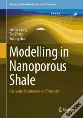 Modelling In Nanoporous Shale