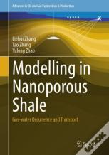 Modelling In Nanoporous Shale