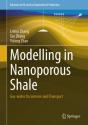 Modelling In Nanoporous Shale - Preview