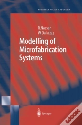 Modelling Of Microfabrication Systems