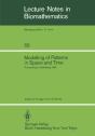 Modelling Of Patterns In Space And Time - Preview