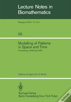 Capa do artigo Modelling Of Patterns In Space And Time