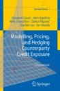 Modelling, Pricing, And Hedging Counterparty Credit Exposure - Preview