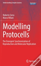 Modelling Protocells