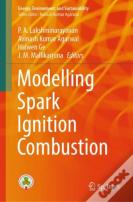 Modelling Spark Ignition Combustion