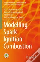 Modelling Spark Ignition Combustion