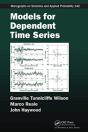 Models For Dependent Time Series - Preview