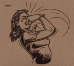 Capa do artigo Moderat - CD