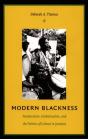 Modern Blackness - Preview