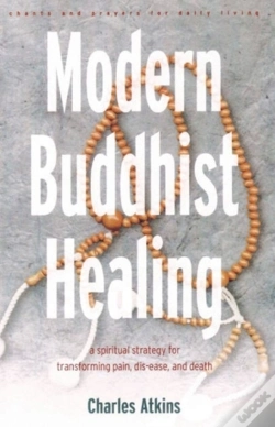 Capa do artigo Modern Buddhist Healing