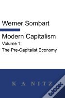 Modern Capitalism - Volume 1