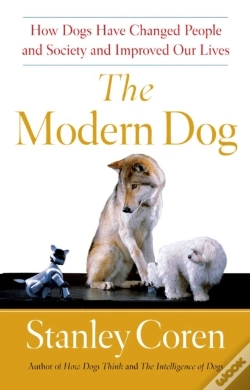 Capa do artigo Modern Dog